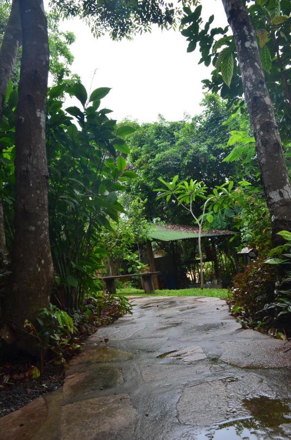Pousada Casa Viva A Vida Lencois Esterno foto