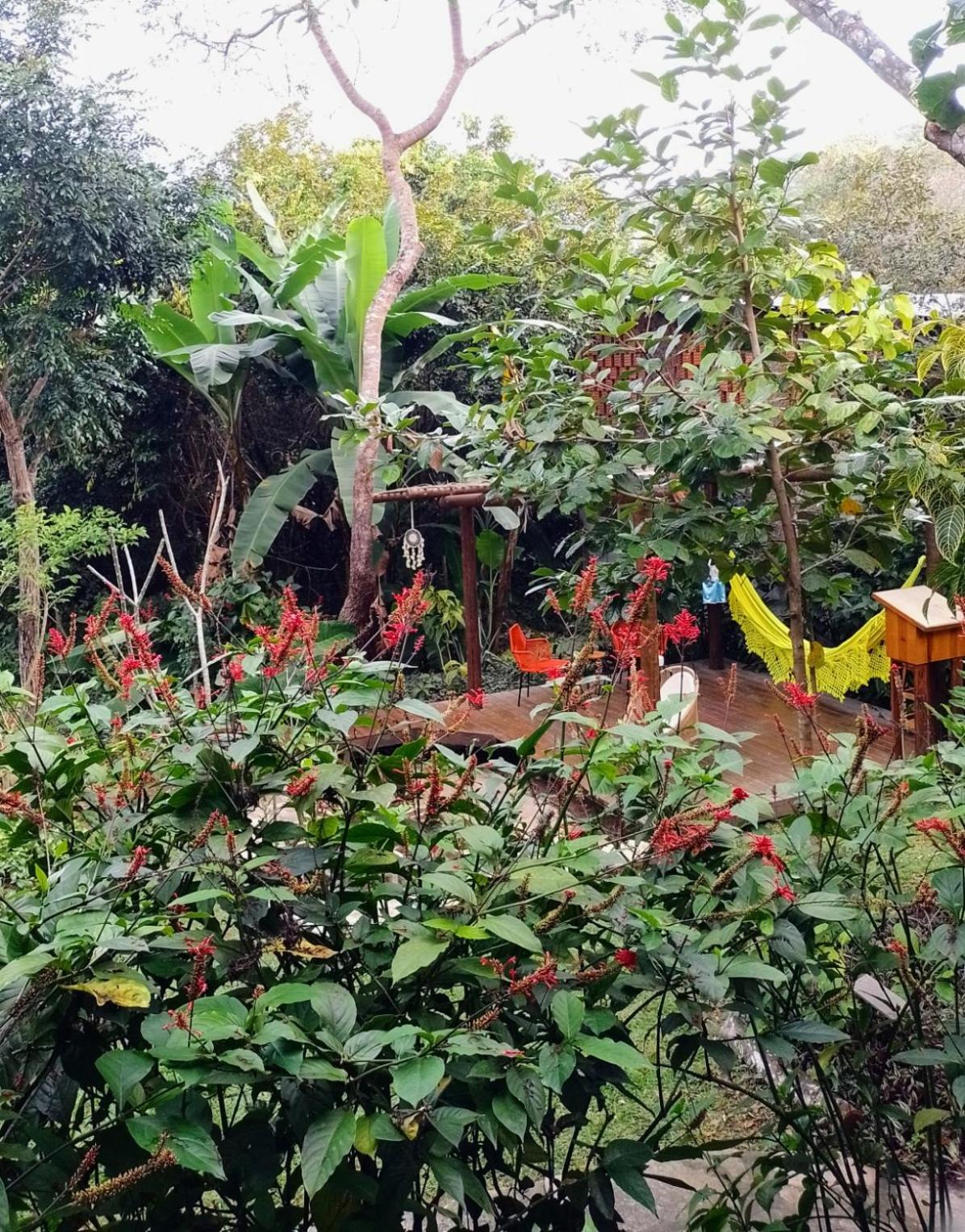 Pousada Casa Viva A Vida Lencois Esterno foto